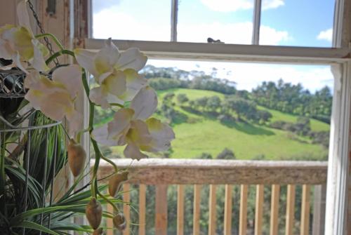 Freshwaterfarm Cottages - Muriwai