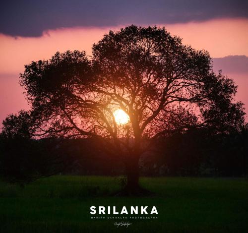 Mindana Residence – Anuradhapura, IA