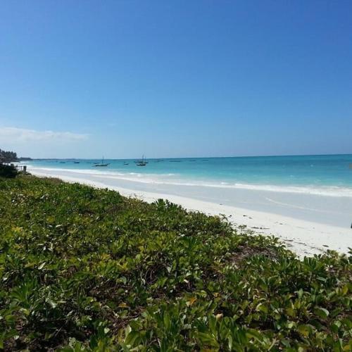 Driftwood Beach Lodge