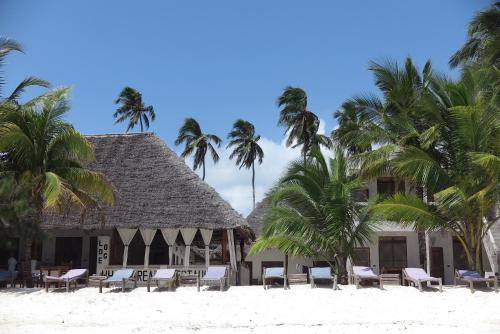 White Dream Lodge & Restaurant, Beach Front, Ocean View, Kiwengwa