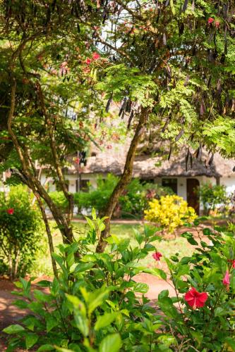 Sandies Baobab Beach Zanzibar