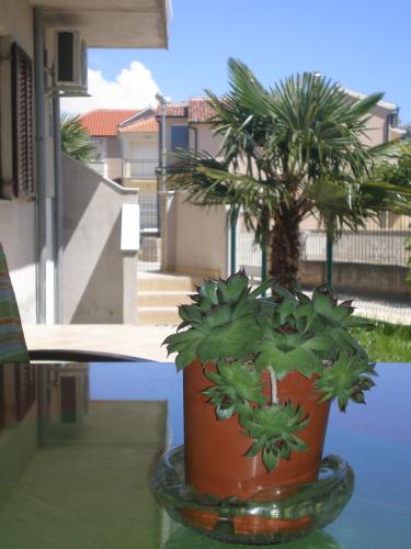 Apartments Anita Frane - image 7