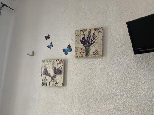 Giraldilla - image 4