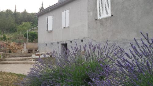  Guest House Authentic Hvar, Pension in Vrbanj