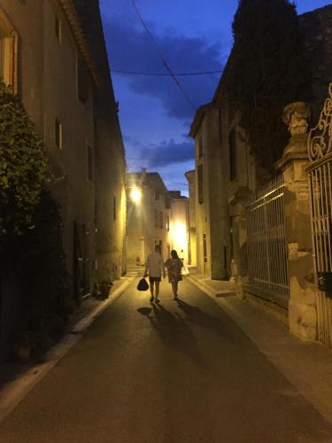 Le Flamant Rouge Guesthouse - image 8