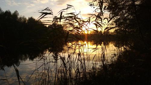  La maison du lac in Cul-des-Sarts