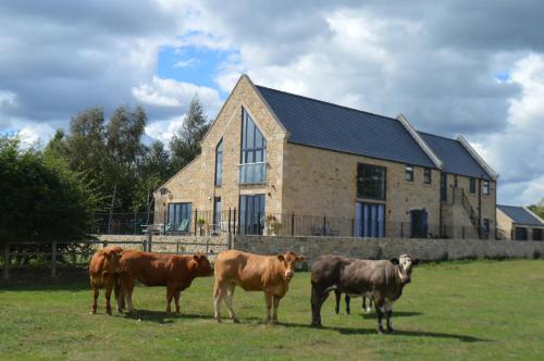 Millstone House Bed And Breakfast, , County Durham