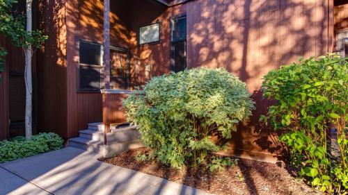 3 Kings Mountain Vista - image 5