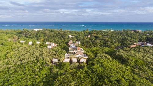 B&B Tulum - Casa Coyote Tulum - Bed and Breakfast Tulum