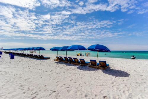 Fontainebleau Terrace II - image 6