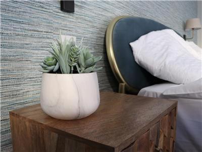 Chapel Lodge - Roof top garden!Perfect for your family, Bath (zdjęcie 3)