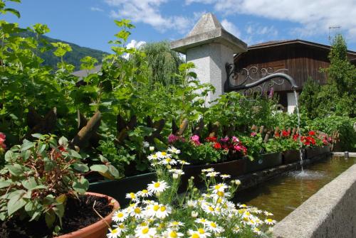 Residence Obermoarhof - image 6