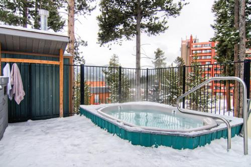 Los Pinos At Breckenridge #D10 Condo Breckenridge (CO)