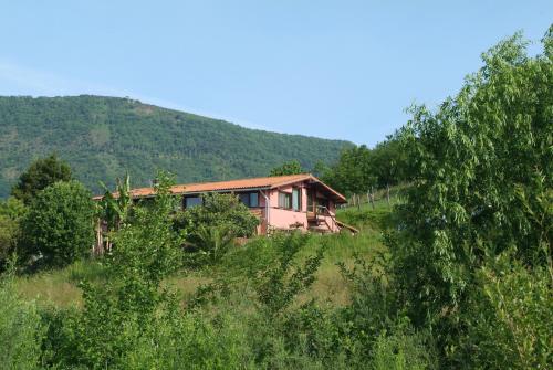 paperkienea - artandrelax - image 14