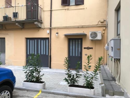 Via Giuseppe Mazzini 50 home sweet home, Turín (fotografie 3)