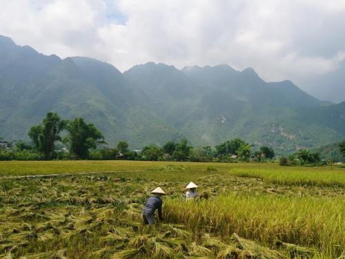 Mai Chau Countryside Homestay