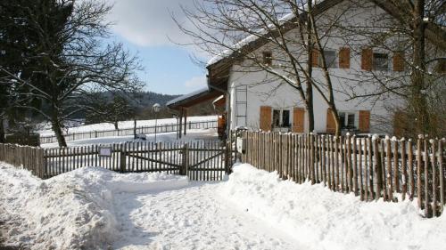 Garden, Ferienhaus Winter in Blaibach