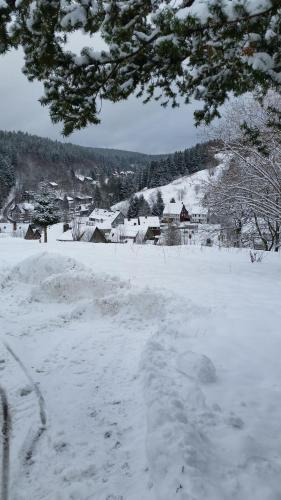 A környék, Pension Haus Petra in Altenau