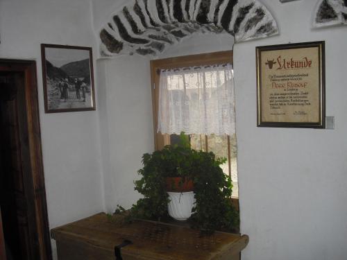 Hotel Edelweiss 5