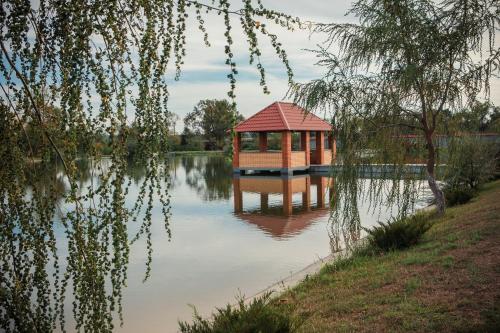 Hotel Illara - image 7