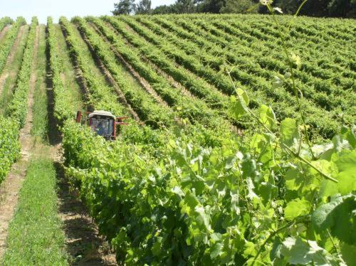 Quinta De Catralvos in อะเซเตา