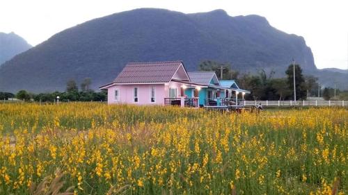 Ban Thung Talay Mok Chiangdao