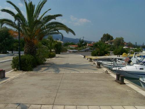 Akroyali Hotel & Villas - image 9
