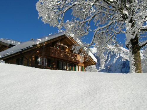 المنظر الخارجي, شاليه هيرشافت (Chalet Herrschaft) in منطقة هيرشافت