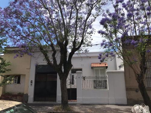 El Jacarandá, relax, en Chascomús