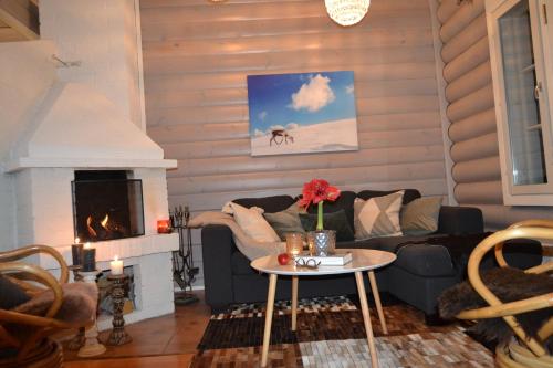 Chalet Suomukka in Tonkopuro