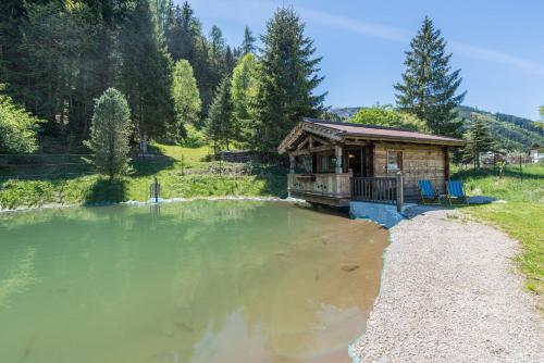 Almliesl HOLL-559 - Chalet - Hollersbach im Pinzgau