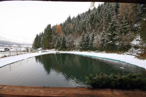 Alrededores, Almliesl HOLL-559 in Heinfels