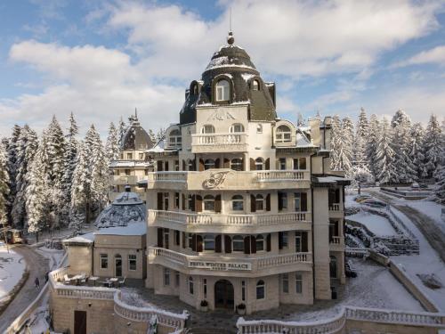 Photo - Festa Winter Palace Hotel