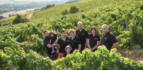 Weinschloßchen im Weingut Roos in Darmstadt Suburbs