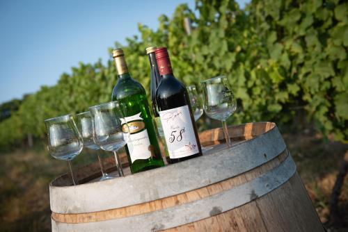 Food and beverages, Weinschloßchen im Weingut Roos in Darmstadt Suburbs