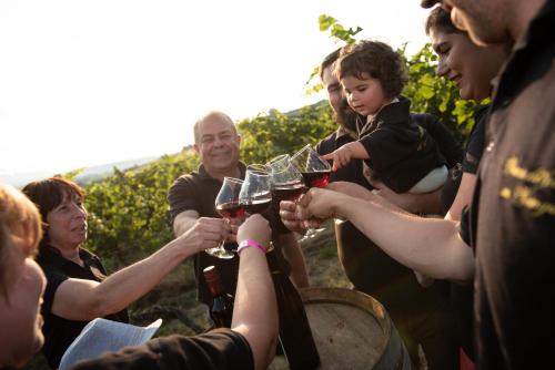 Weinschlößchen im Weingut Roos