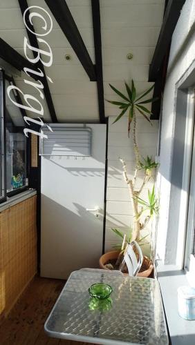 Erkély/terasz, Gästehaus Streich Refrath, Bergisch Gladbach (Gastehaus Streich Refrath, Bergisch Gladbach) in Bergisch Gladbach