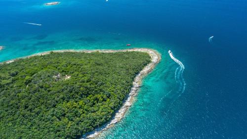 Apartment Vilma Funtana Apartment Vilma Funtana