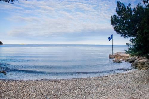 Apartment Vilma Funtana Apartment Vilma Funtana