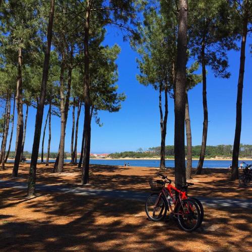 VILLA CASA KOKO 10 PERS piscine chauffée, pétanque, ping pong VIEUX-BOUCAU VILLA CASA KOKO 10 PERS piscine chauffée, pétanque, ping pong VIEUX-BOUCAU