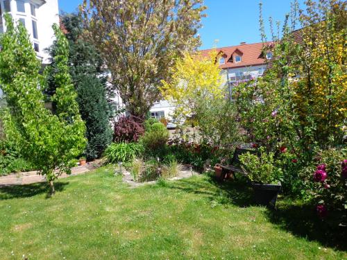 Ferienwohnung am Basberg - image 9