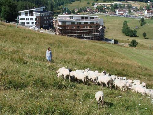 

Apartman 220, Apartmanovy dom Triangel Donovaly