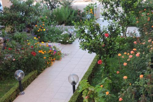 Golden Rose Suites - image 14