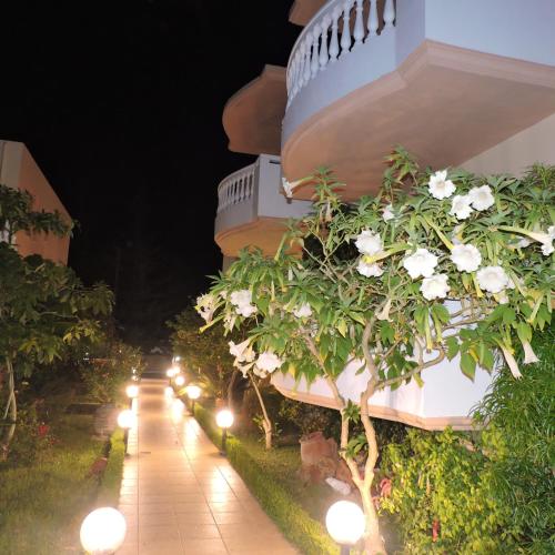 Golden Rose Suites - image 13