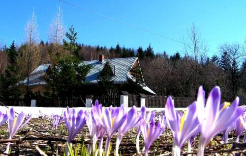 Góralska Czarcia Chata pod Jałowcem - Hotel - Stryszawa