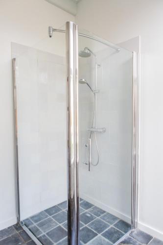 De Friese Wouden De Friese Wouden