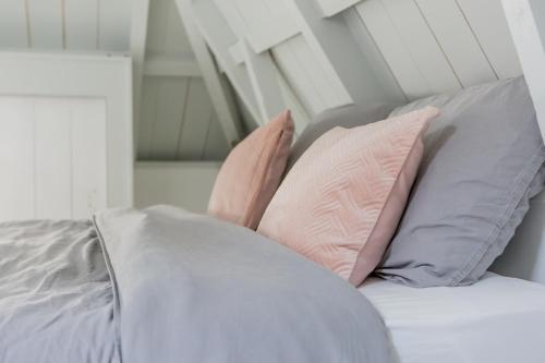 De Friese Wouden De Friese Wouden