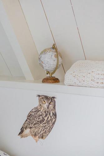 De Friese Wouden De Friese Wouden