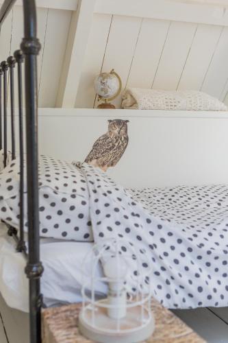 De Friese Wouden De Friese Wouden