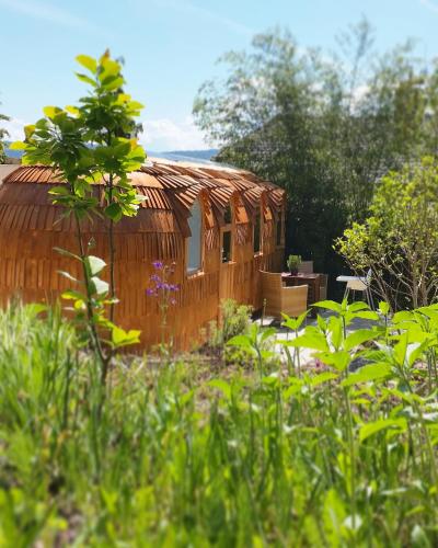 Tiny House Igluhut in Hergensweiler, Deutschland